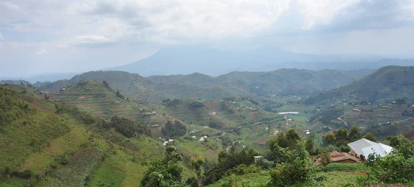Vista Aérea Torno Das Montanhas Virunga Uganda África — Fotografia de Stock