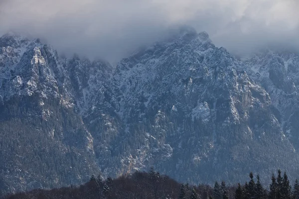 Bergtop Winter Piatra Craiului Mountains Roemenië — Stockfoto