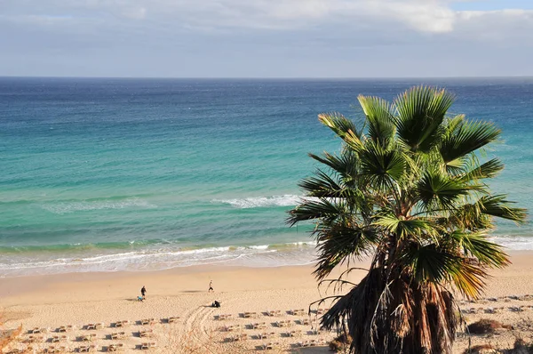 Bela Paisagem Tropical Praia — Fotografia de Stock