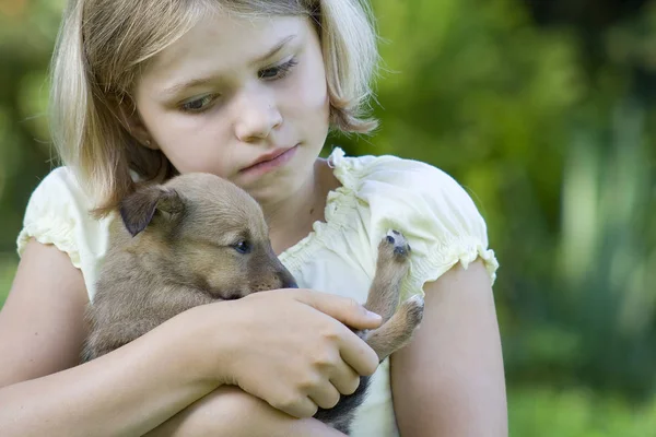 Liten Flicka Och Hennes Mycket Unga Hund — Stockfoto