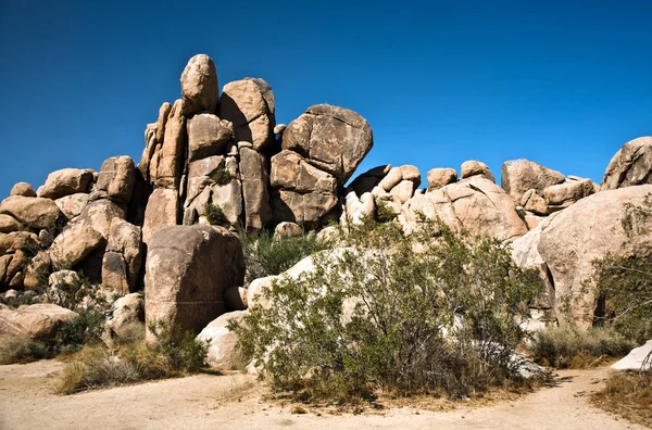 Scenic Rocks Desert National Park Afternoon Light — Stock Photo, Image