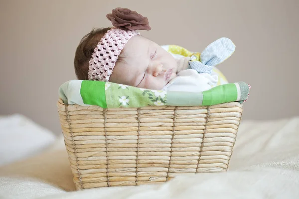 Bir Sepet Içinde Uyuyan Sevimli Bebek Kız Portresi — Stok fotoğraf