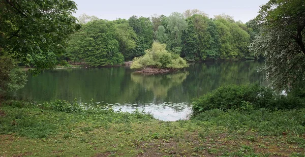 杜塞尔多夫一个田园诗般的湖泊的细节 — 图库照片