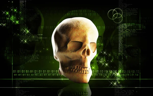 Ilustración Digital Del Cráneo Humano Fondo Color —  Fotos de Stock