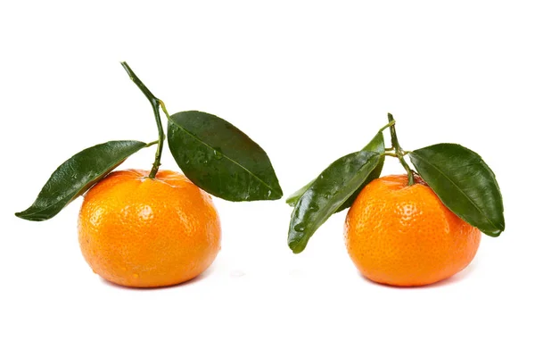 Mandarin Med Blad Frukt Isolerad Mot Vit Bakgrund — Stockfoto