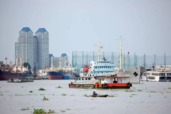 梅冈河上的自然景观背景 — 图库照片