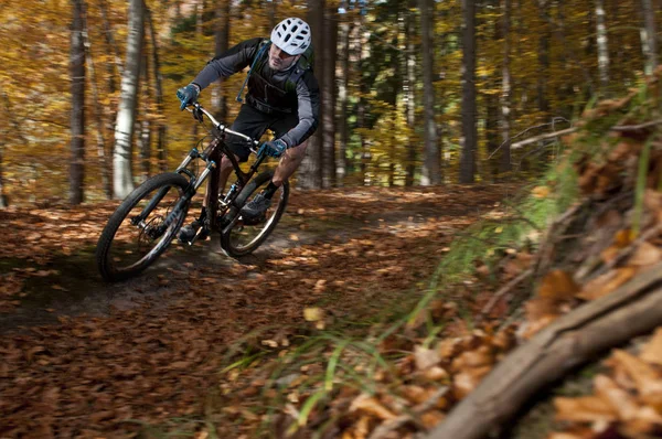 Mountainbike Autunno — Foto Stock