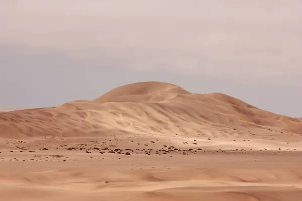 Woestijn Namibia Afrika — Stockfoto
