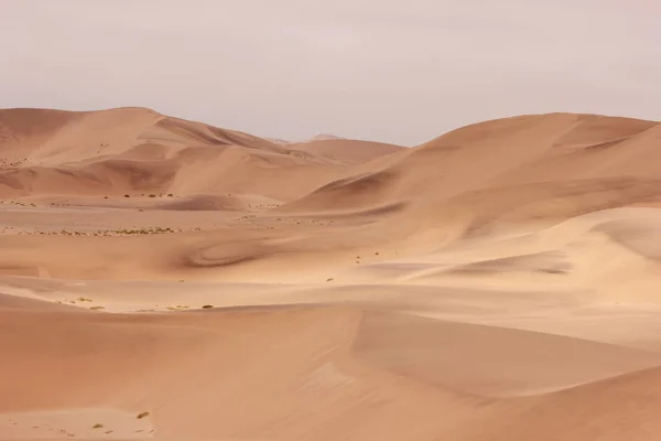 Deserto Namibia Africa — Foto Stock