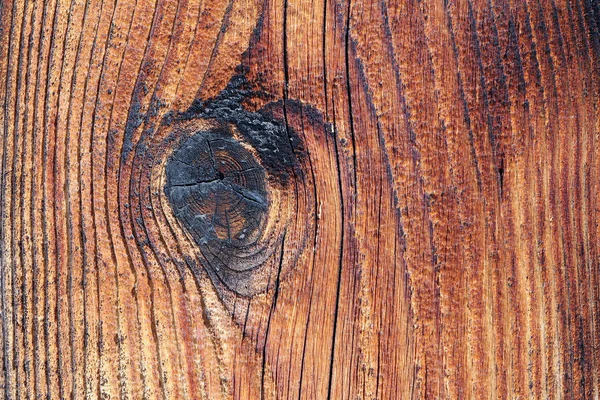 Holzstruktur Holzoberfläche — Stockfoto