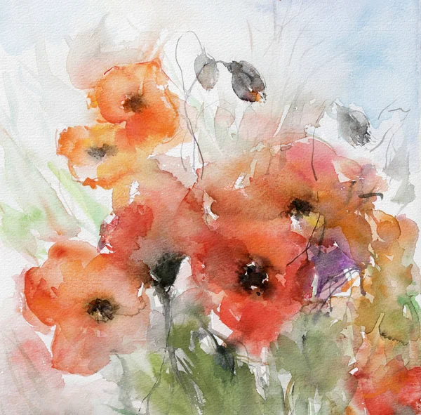 Capsules Poppies Watercolor — Stock Photo, Image