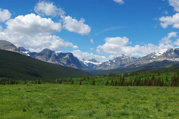 Meadows Forests Rocky Mountains Glacier National Park Montana — Stock fotografie
