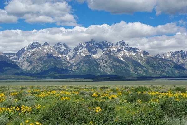 Machtige Grote Tetonen Wyoming — Stockfoto