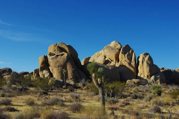 Joshua Rocks Joshua Tree National Park Καλιφόρνια — Φωτογραφία Αρχείου