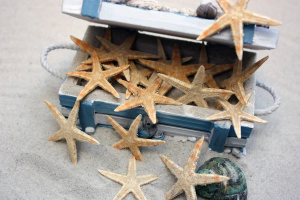 Wooden Box Starfish — Stock Photo, Image