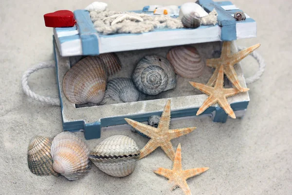 Wooden Box Starfish — Stock Photo, Image