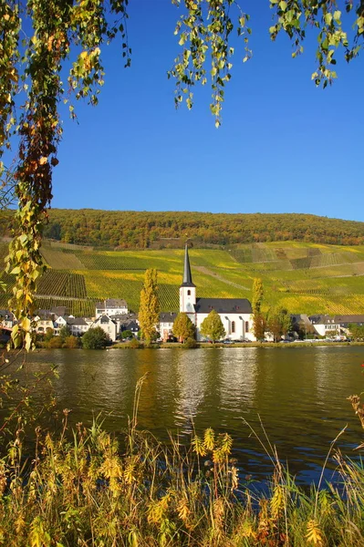 Oude Piesport Aan Moezel Herfst — Stockfoto