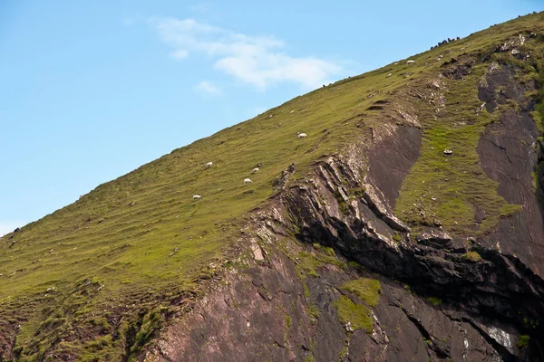 Vista Para Irlanda Rural — Fotografia de Stock