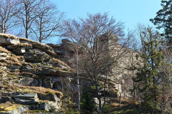 Vue Panoramique Sur Architecture Majestueuse Château Médiéval — Photo