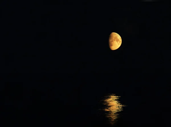 Måne Med Refleksion Vandet - Stock-foto