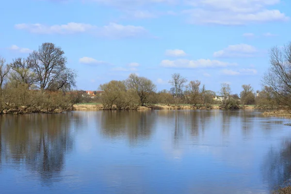 Mulde Het Vroege Voorjaar — Stockfoto