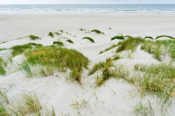 Dunas Mar Norte — Fotografia de Stock