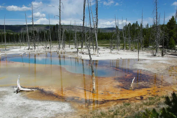 Estanques Termales Multicolores Bosque Seco Parque Nacional Yellowstone — Foto de Stock