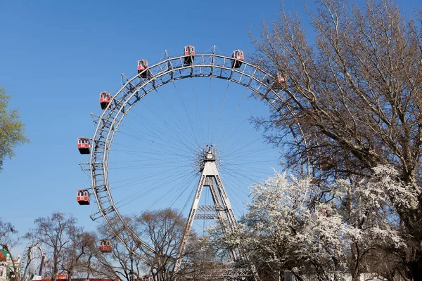 Kolotoč Ruského Kola Zábavní Park — Stock fotografie