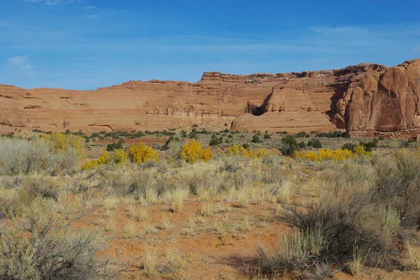 Red Rock Walls Yellow Autumn Foliage Zion National Park Utah — Stock Photo, Image