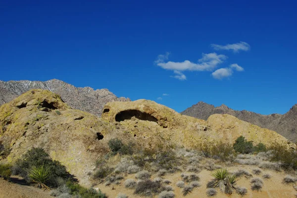 Yucca Rotsen Bergen Lucht Buurt Van Christmas Tree Pass Nevada — Stockfoto