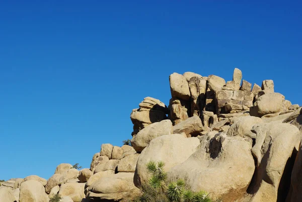 Rock Formáció Joshua Tree National Park Kalifornia — Stock Fotó