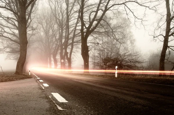 Empty Road Mist Morning Park — Stock Photo, Image