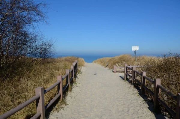 Ostseeküste Auf Der Insel — Stockfoto