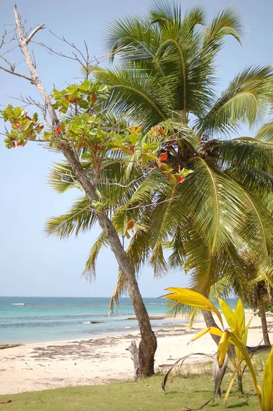 Caribbean Sea Curacao Willemstad Abc Islands — Stock Photo, Image