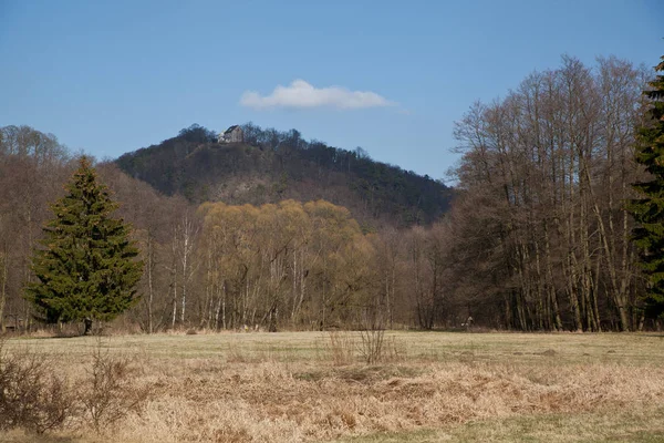 Vista Meiseberg Harz Selketal — Fotografia de Stock
