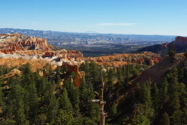 Bryce Canyon Nationalpark Mit Sandstein — Stockfoto