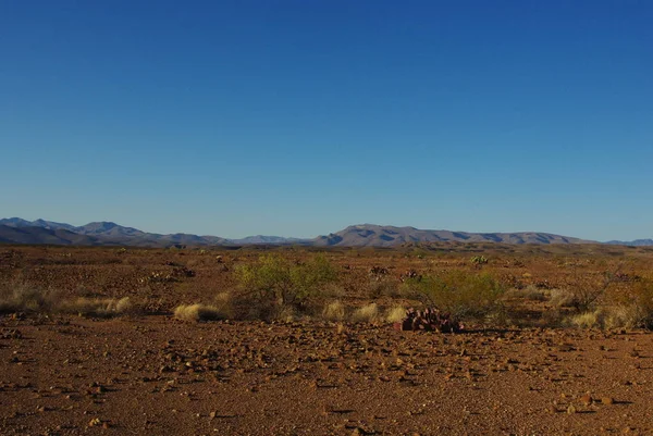 Deserto Arizona Perto Safford — Fotografia de Stock