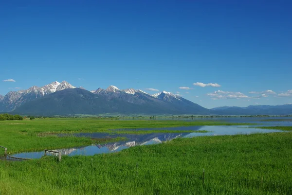 Missionsberge Spiegeln Sich Feuchtgebieten Südlich Des Flathead Lake Montana — Stockfoto