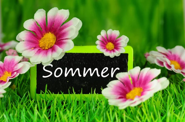 Beginn Des Sommers — Stockfoto