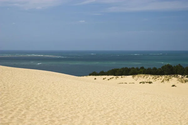 Dunas Del Desierto Cerca Del Mar — Foto de Stock