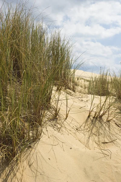 Superficie Desertica Paesaggio Delle Dune — Foto Stock