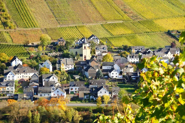 Zamek Rzece Moselle Jesienią — Zdjęcie stockowe