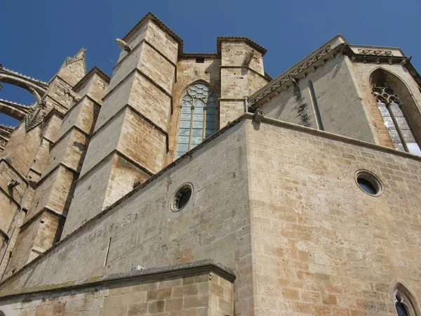 Cathédrale Palma Majorque — Photo