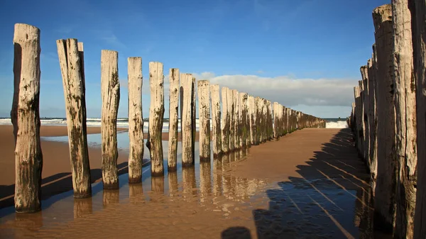 Uitzicht Een Prachtige Zeekust — Stockfoto