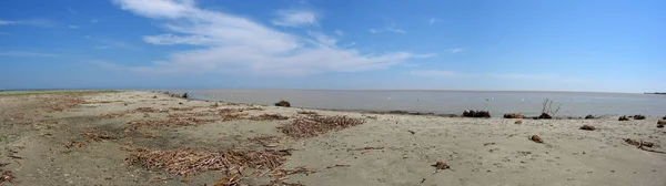 在黑海的海滩上 — 图库照片