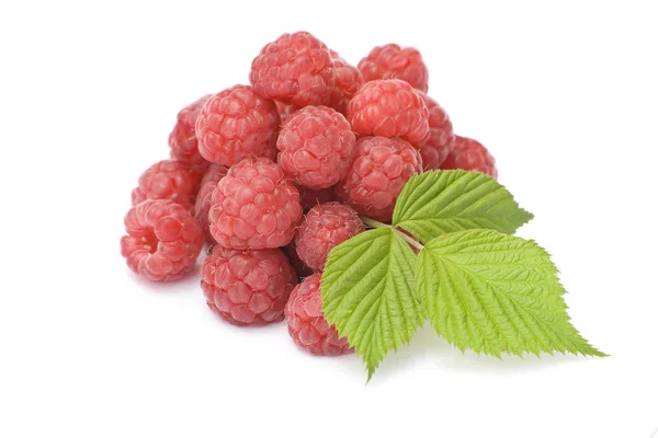 Himbeeren Auf Weißem Hintergrund — Stockfoto