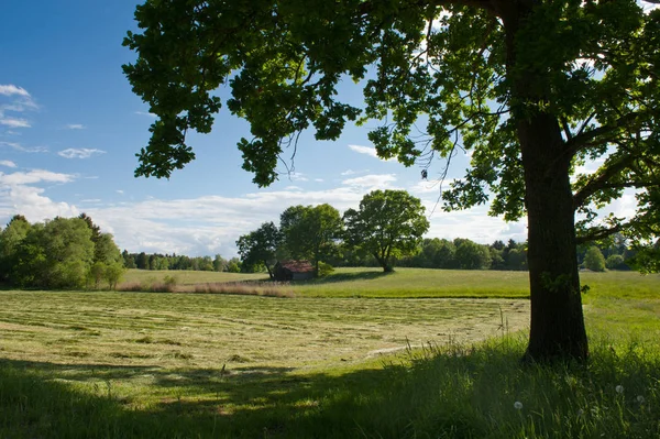 Pittoresk Utsikt Över Naturlandskapet — Stockfoto