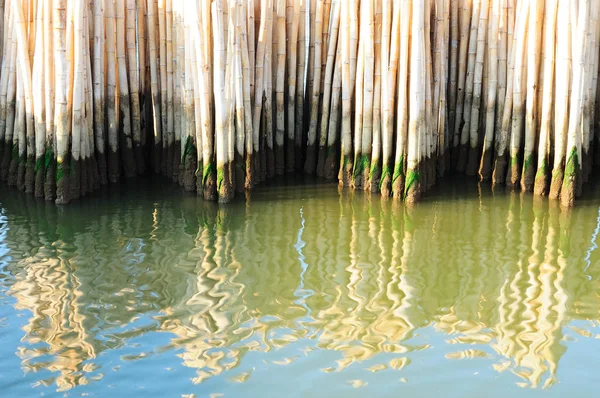 Muralha Bambu Centro Educação Mangues Samut Sakhon Tailândia — Fotografia de Stock