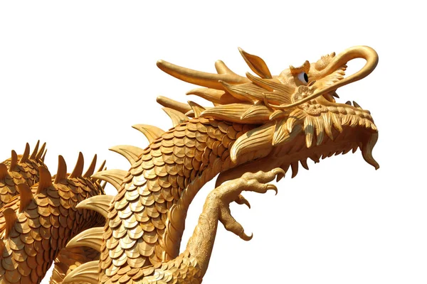 Golden Dragon White Background — Stock Photo, Image