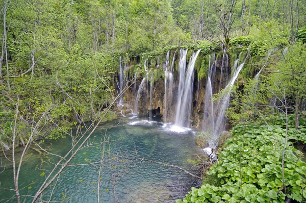 Fascinación Naturaleza Parque Nacional Plitvicka —  Fotos de Stock